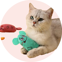 Аксессуары и игрушки