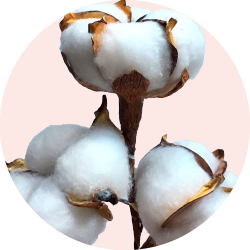 Продукты из хлопка