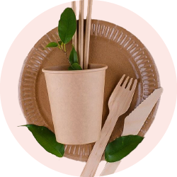 Одноразовые столовые приборы