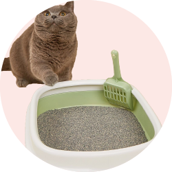 Наполнитель для кошачьего туалета