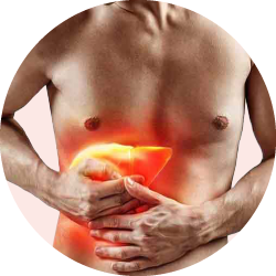 Добавки для здоровья печени