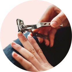 Ногтевые кусачки