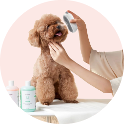 Уход за питомцами и аксессуары