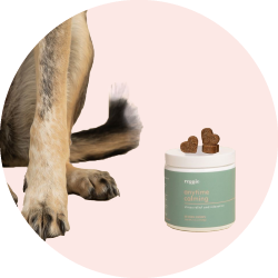 Добавки для питомцев