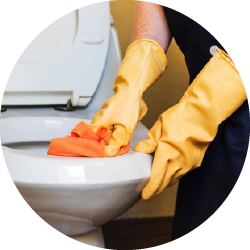 Средства для чистки туалета